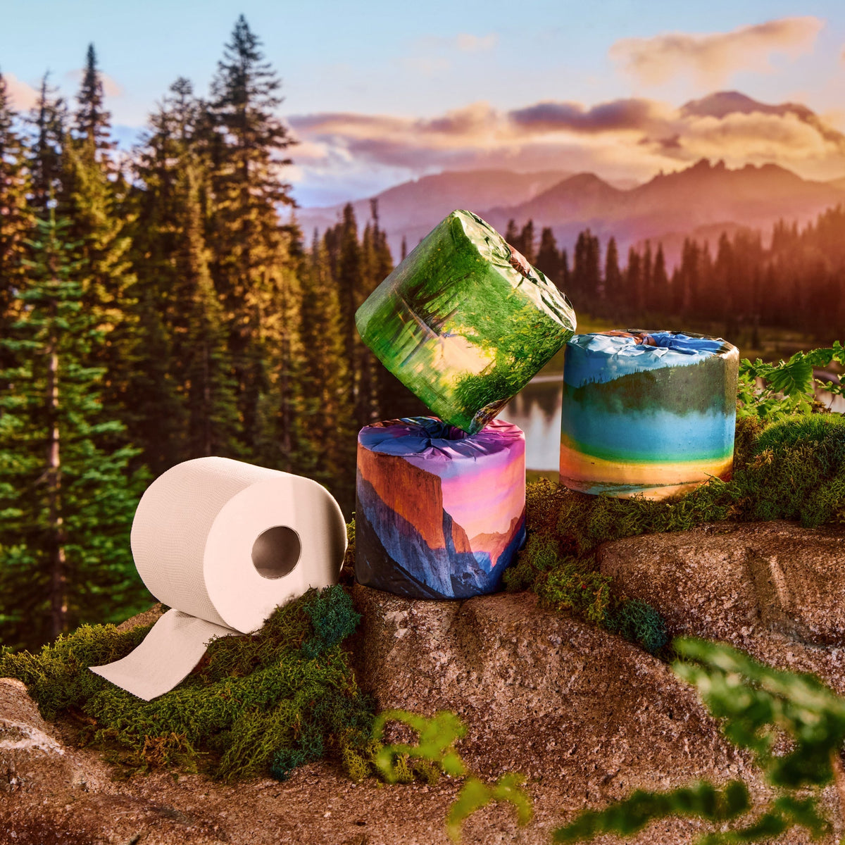Three park-design rolls and one white roll arranged on mossy rocks in a green forest beside a lake with mountains at sunset.