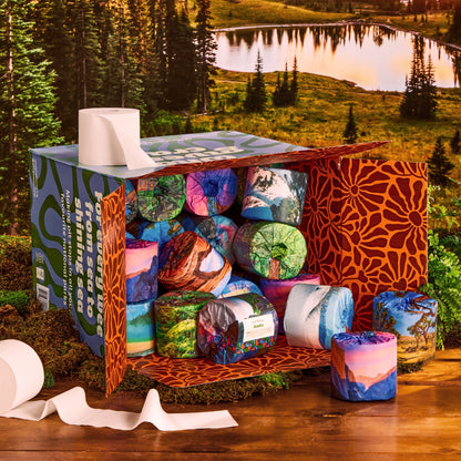 An open shipping box packed with park-design rolls sitting by a mountain lake in a forest.